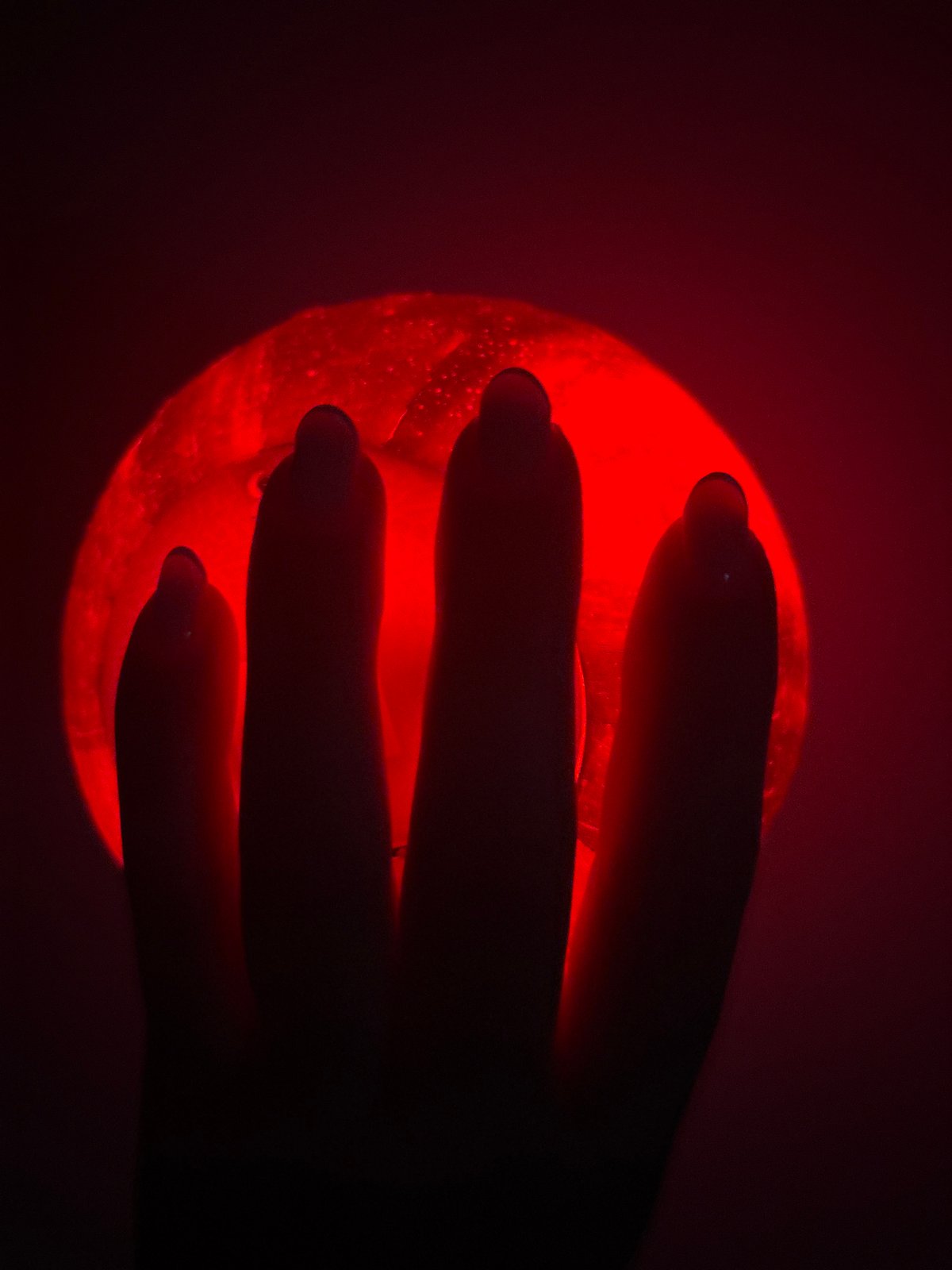 Galaxy lamp and puzzle panda toys photographed up close in Tallinn