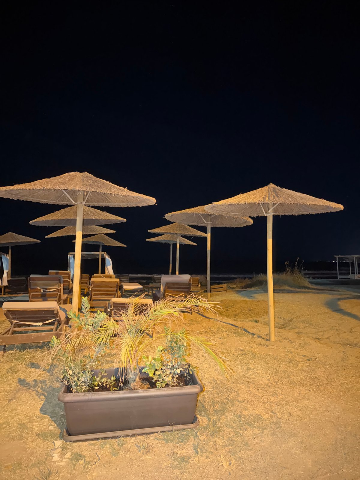 Georgioupoli beach at night, empty loungers and a cat