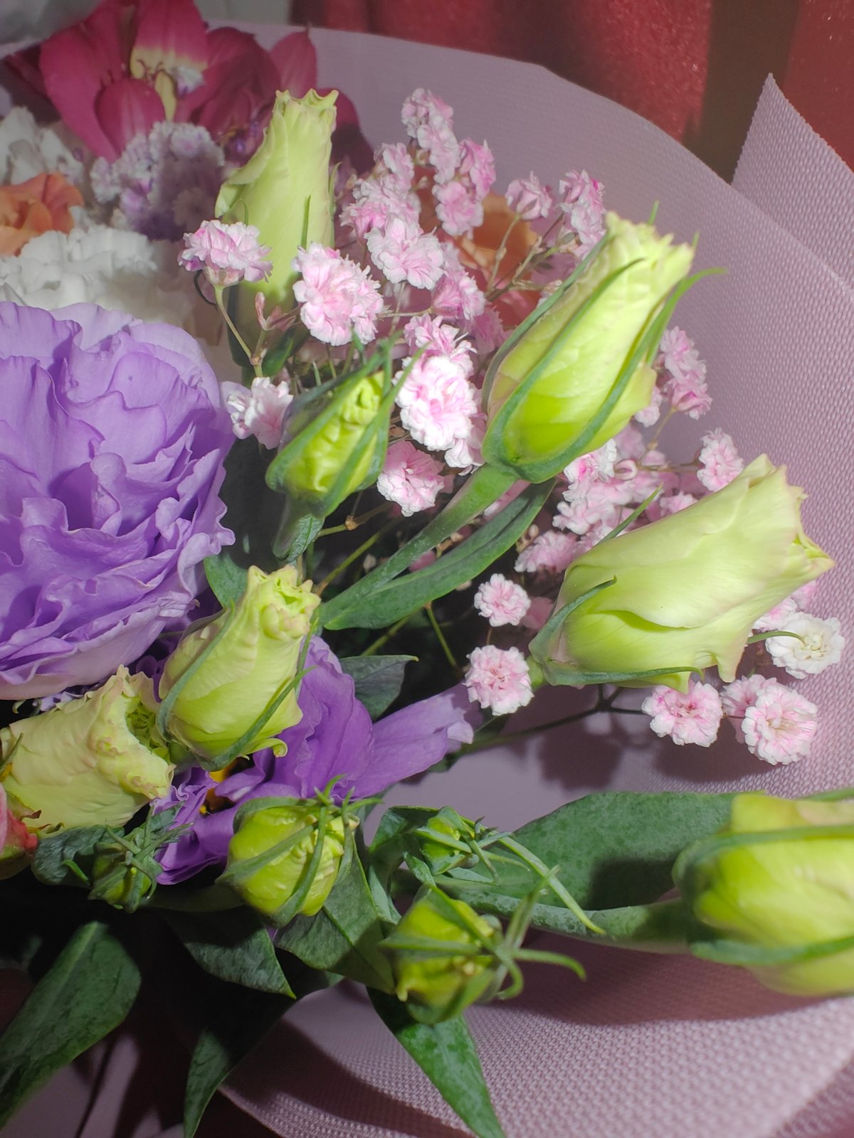 Evening flowers and sunset documented in Hadiach, Ukraine