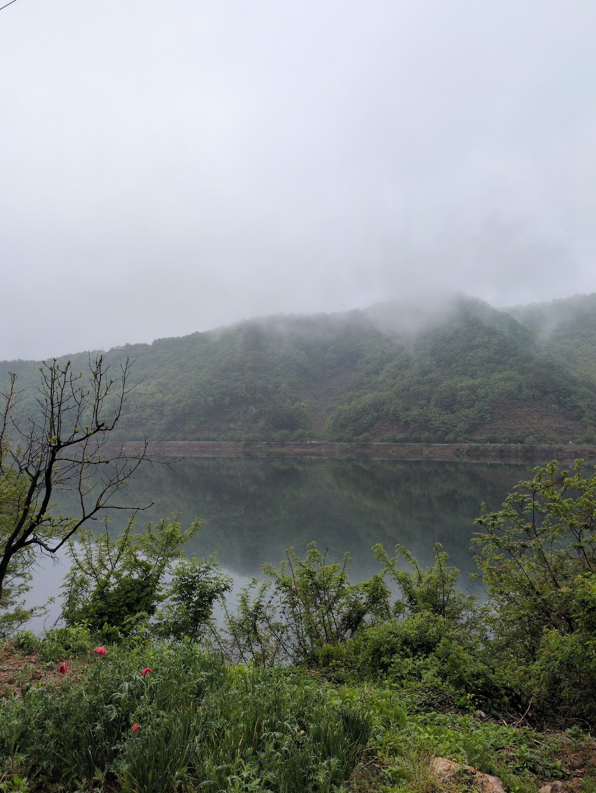 Heavy fog blankets Jangchan-ri landscapes during early morning hours