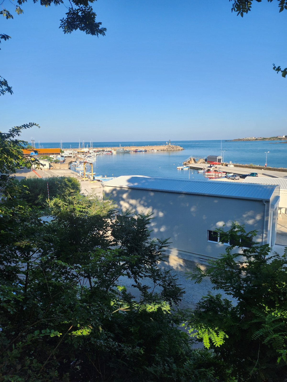 Tsarevo harbor seen through green foliage on a sunny afternoon