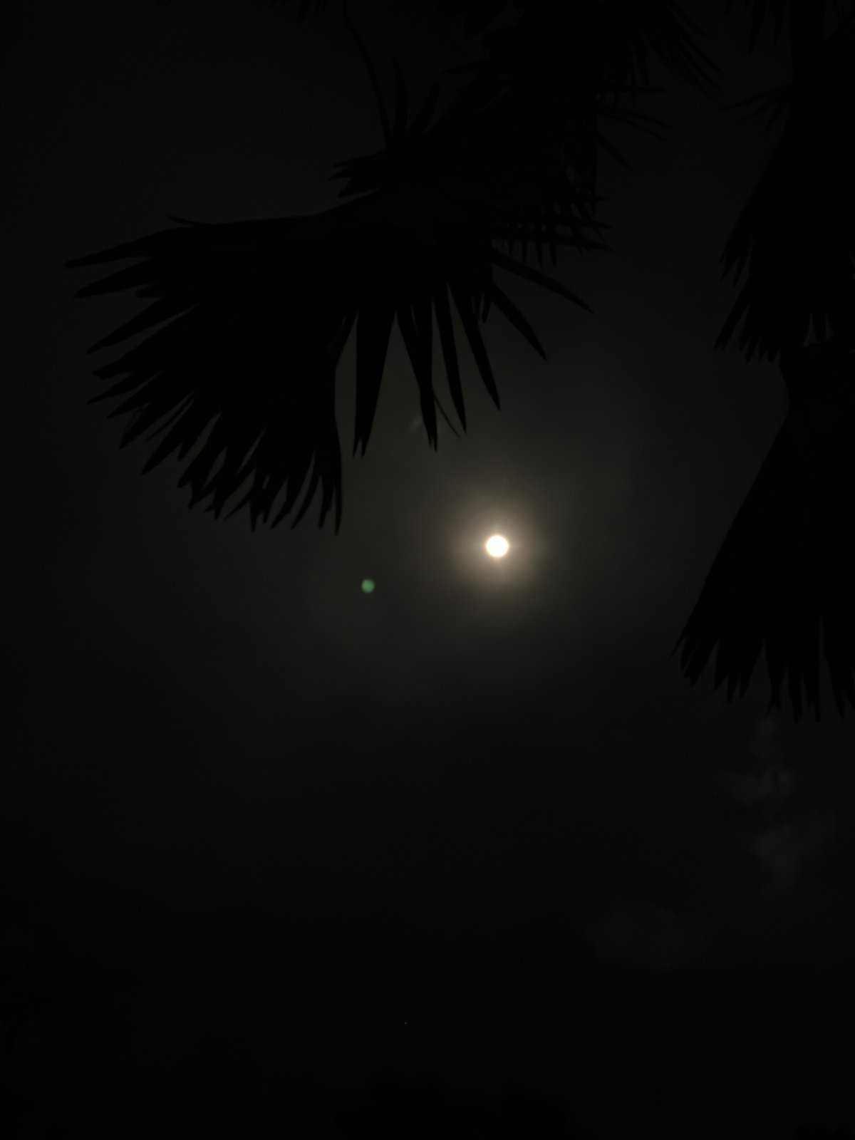 Bright moon with green glint observed in Cuernavaca night sky