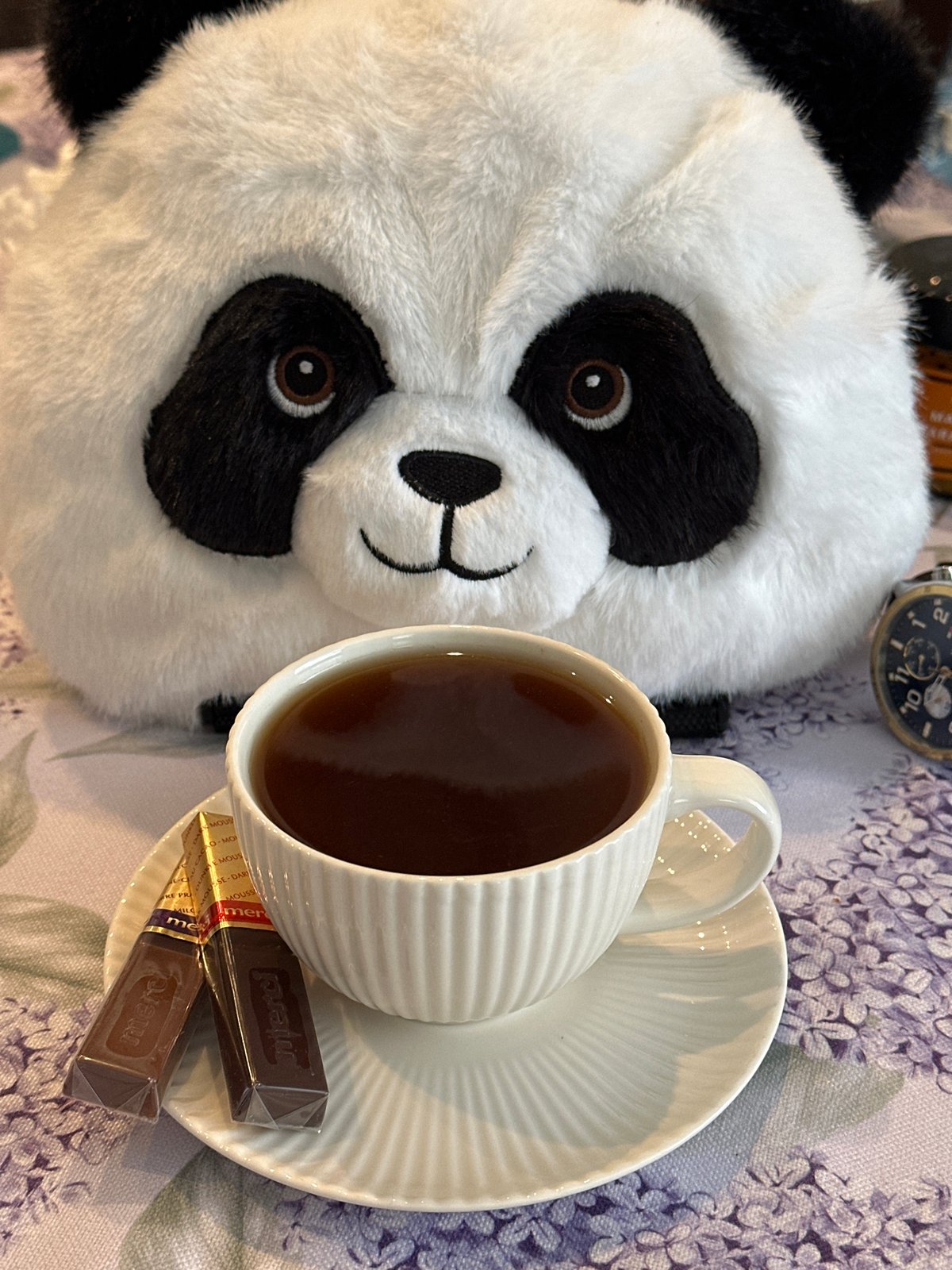 Cozy morning moment captured with panda, beverage in Wisła