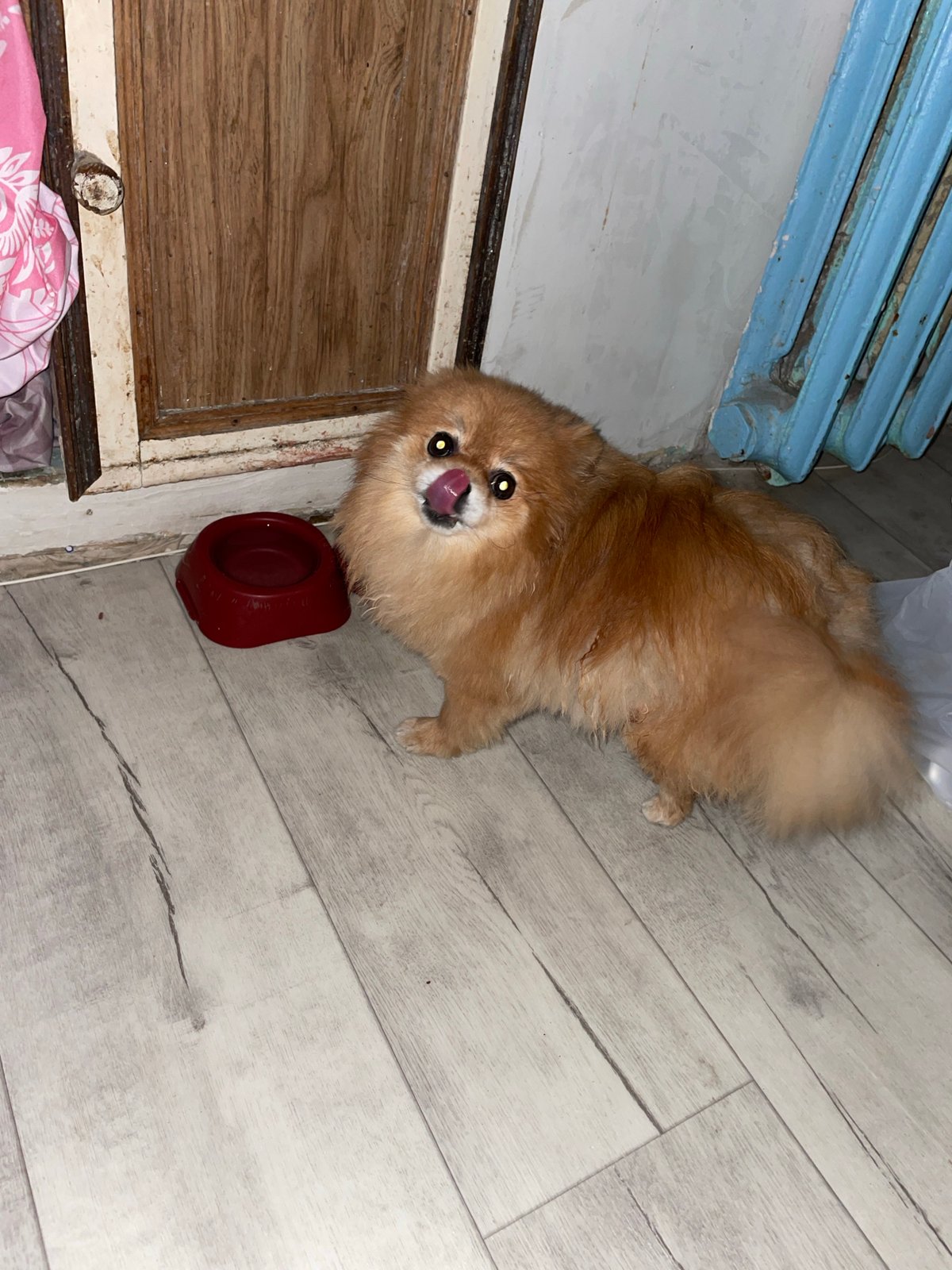 Personal moments documented in Perm home over six minutes