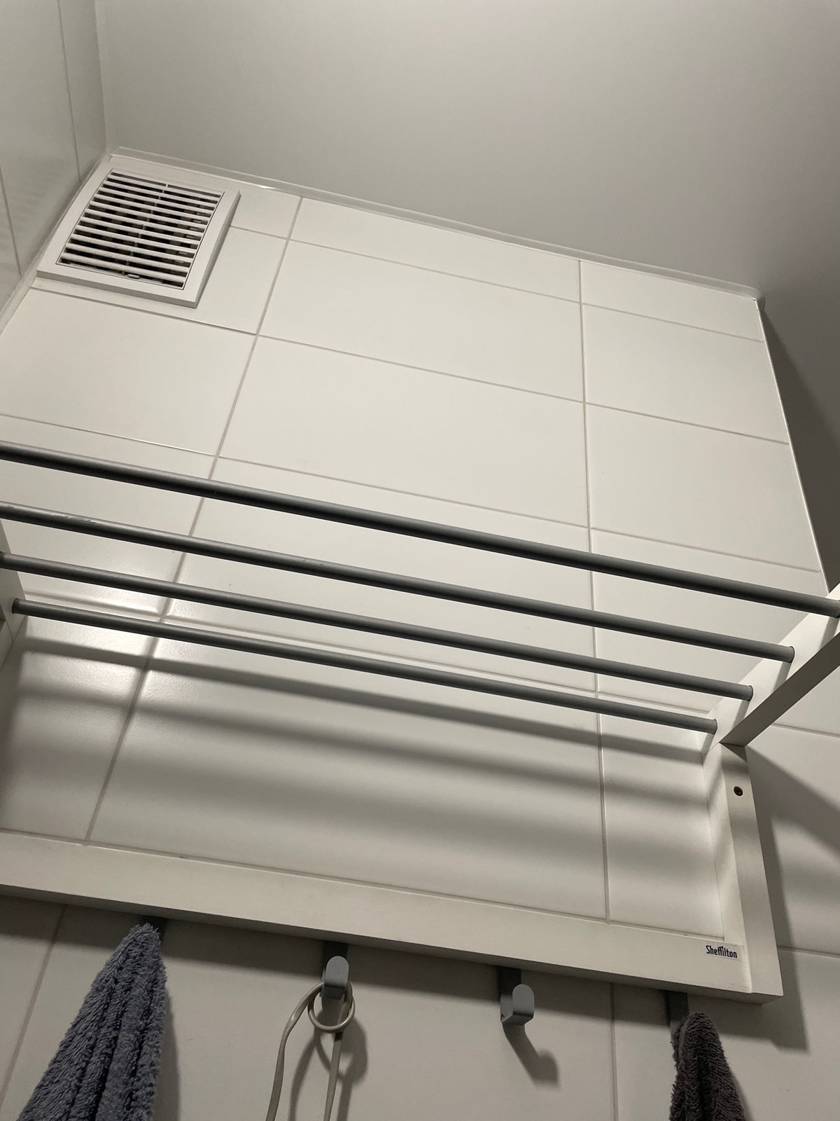 Bathroom renovation or cleaning documented in Sinyavino residence