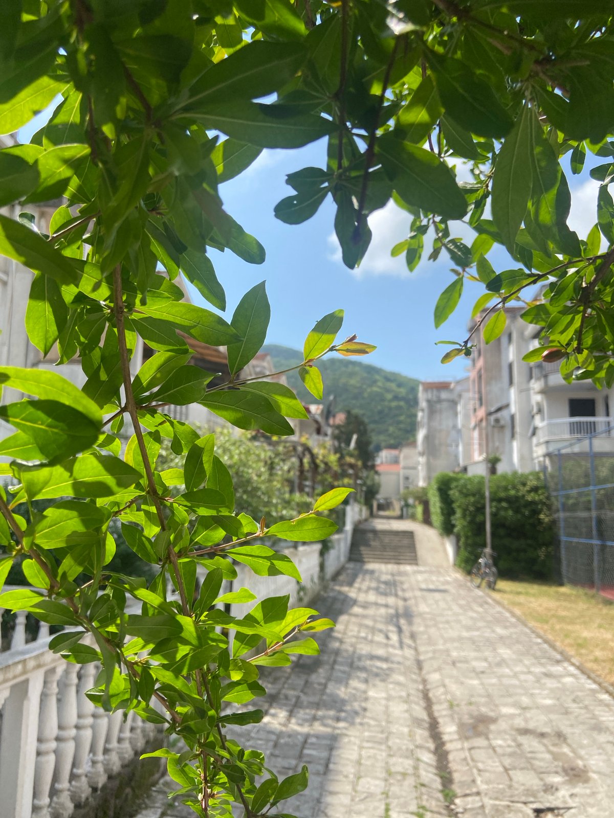 Everyday moments captured across Budva, Montenegro during afternoon hours