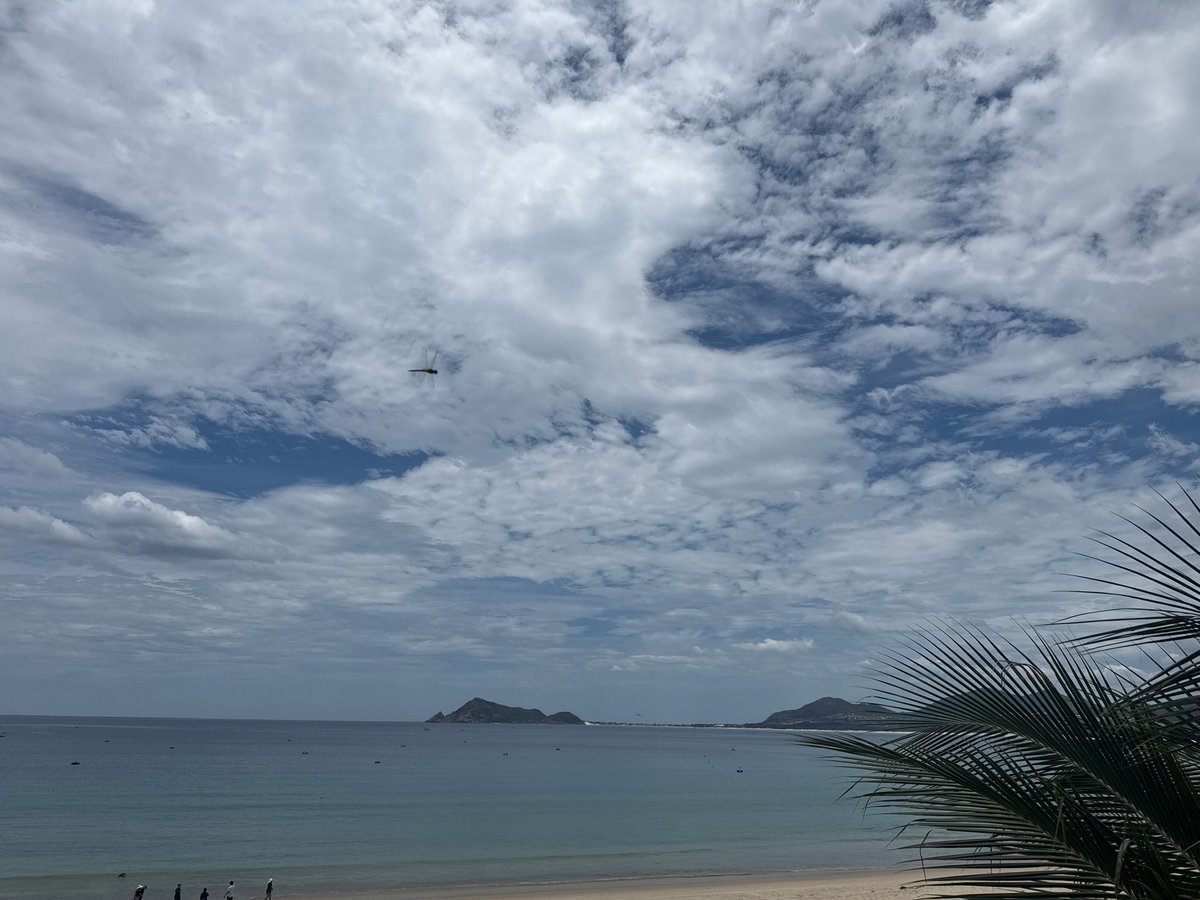 Tropical beach and island views from ground and aerial perspectives