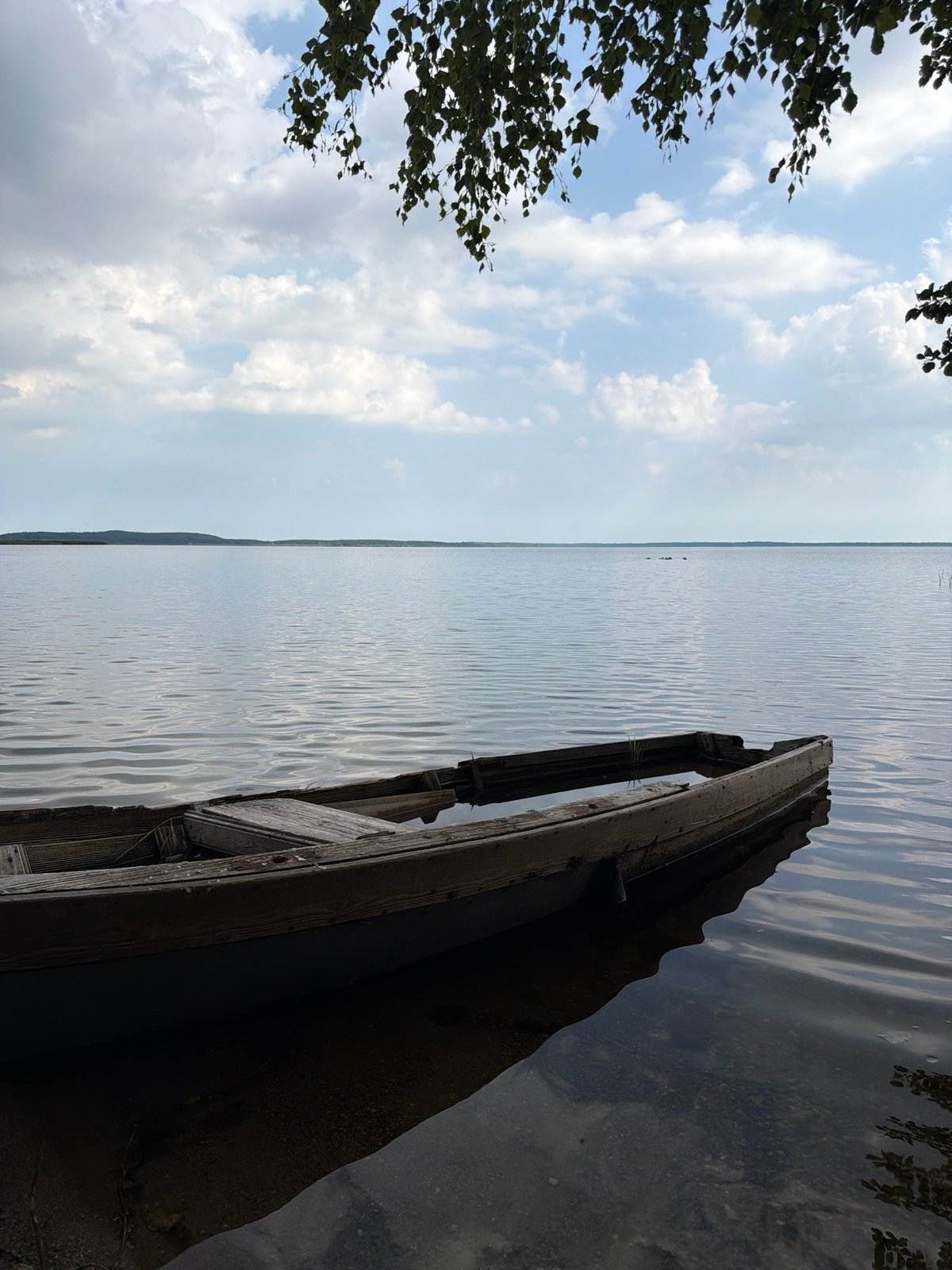 Weathered rowboat quietly sinking at a calm lakeshore