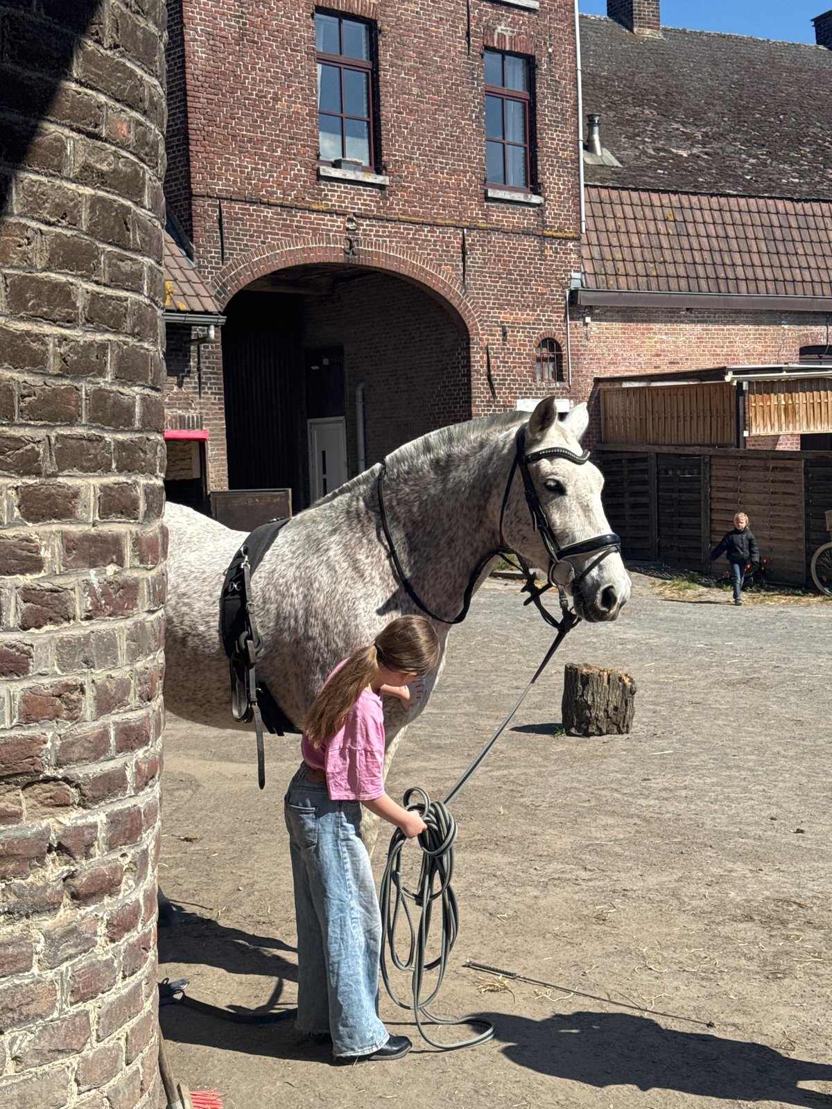 Girl with white horse at Belgian equestrian facility