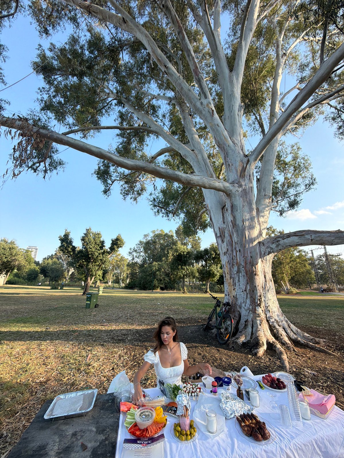 Outdoor picnic gathering under eucalyptus trees in Ramat Gan