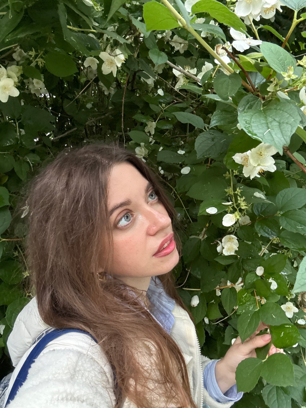 Posing through and among jasmine blooms, multiple angles