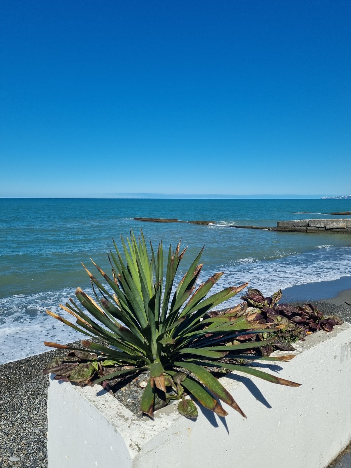 Serene coastal morning documented in Sochi, Russia