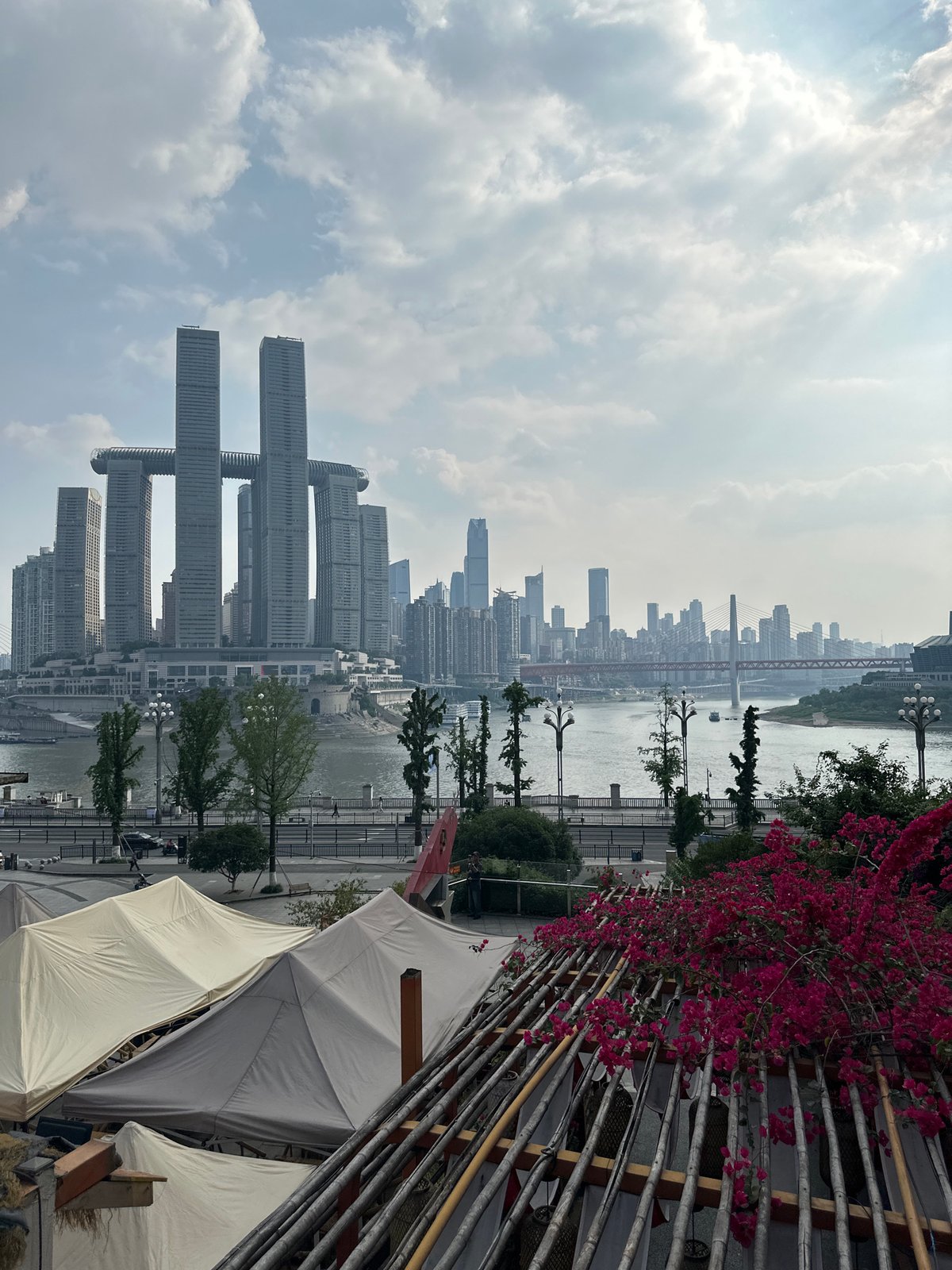 Morning cityscape documented in Chongqing's Nan'an District with flowering bougainvillea