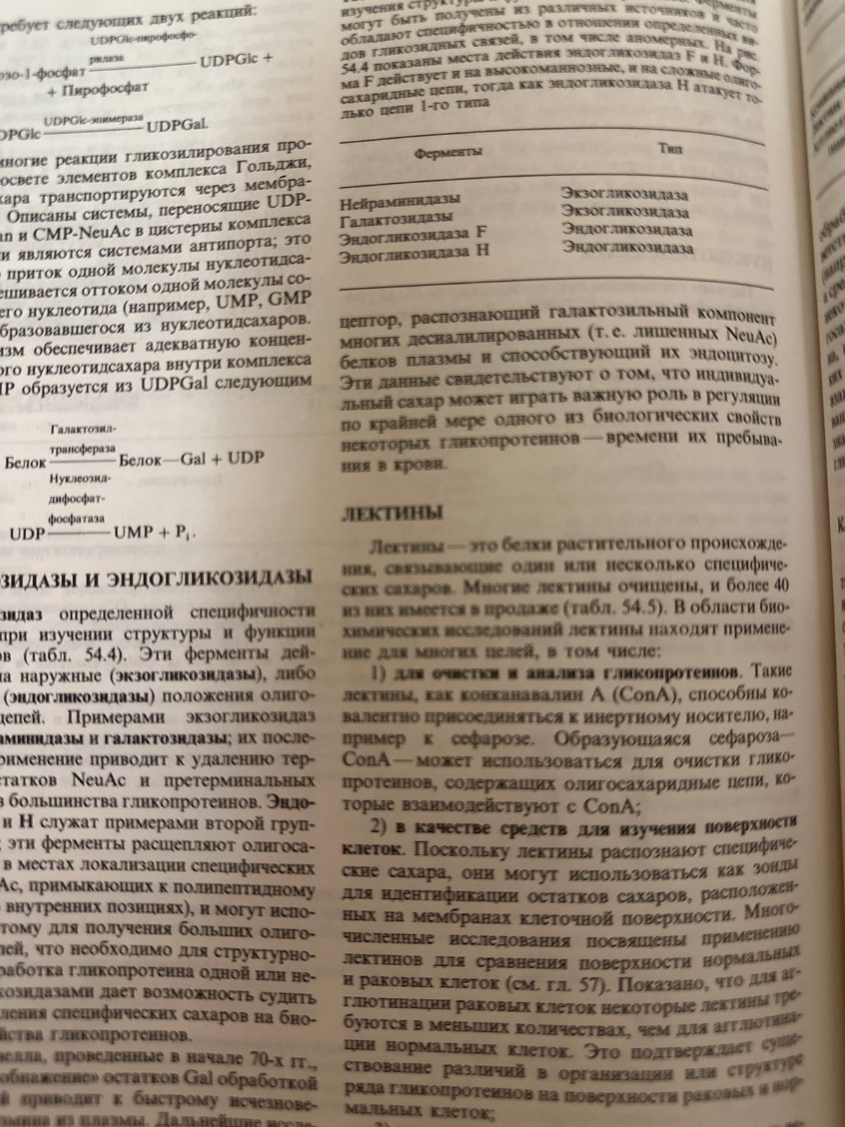 Student studies biochemistry textbooks during evening session in Kazan
