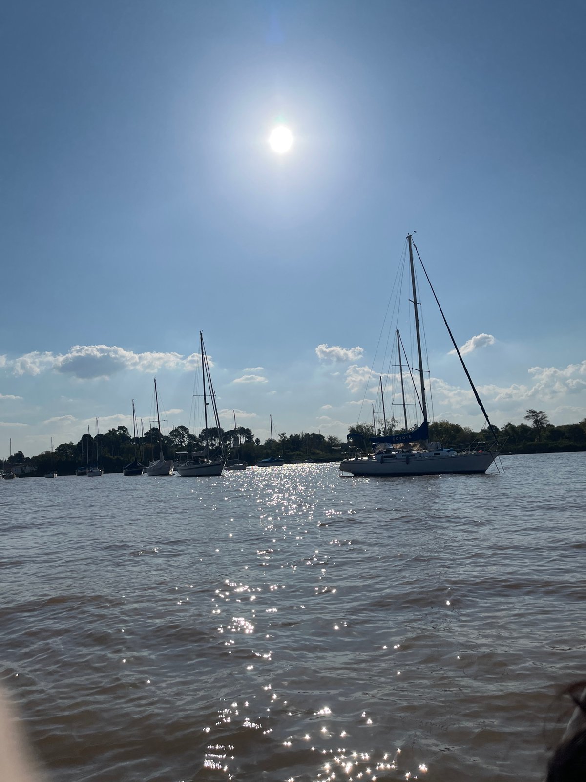 Sunny afternoon at San Fernando marina with moored sailboats