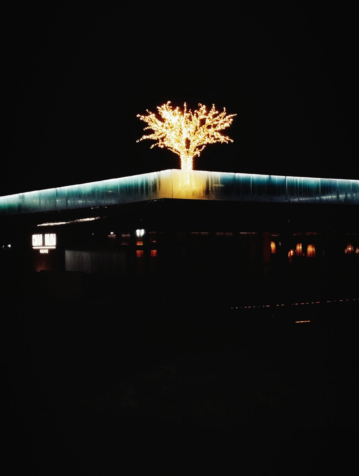 Illuminated artificial tree spotted on building rooftop