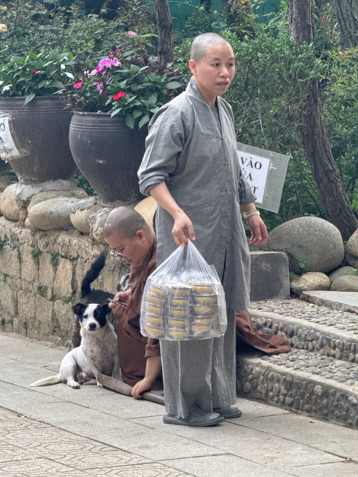 Morning scenes at a Buddhist temple in Da Lat, Vietnam
