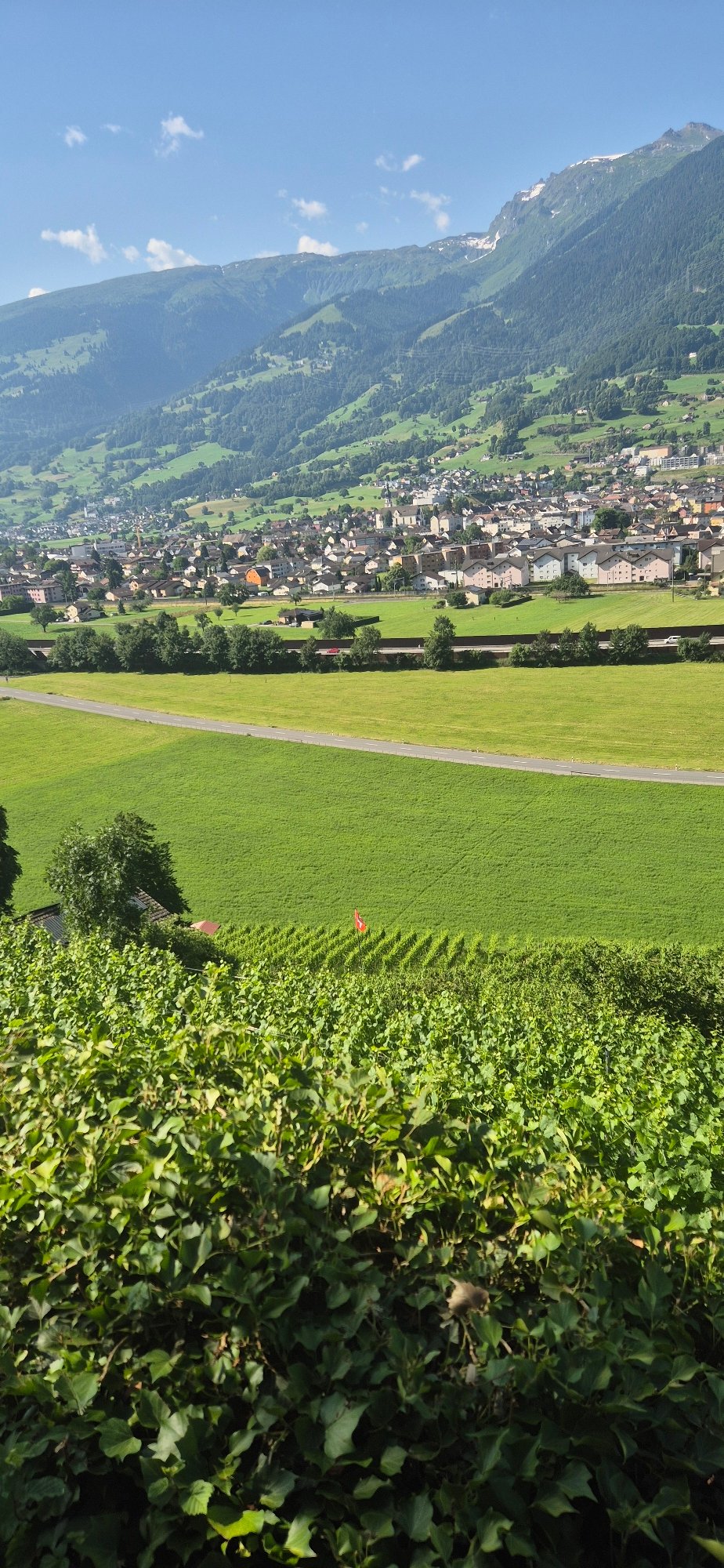 Morning trail walk above Sargans, Swiss Rhine Valley