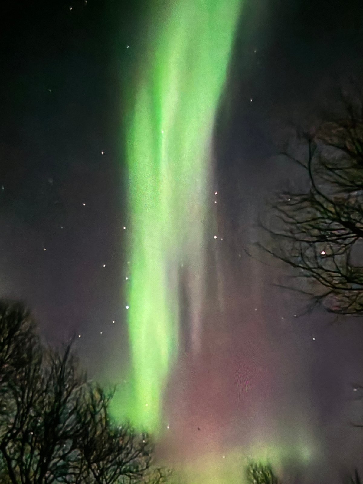 Diverse natural phenomena and landscapes captured across multiple locations