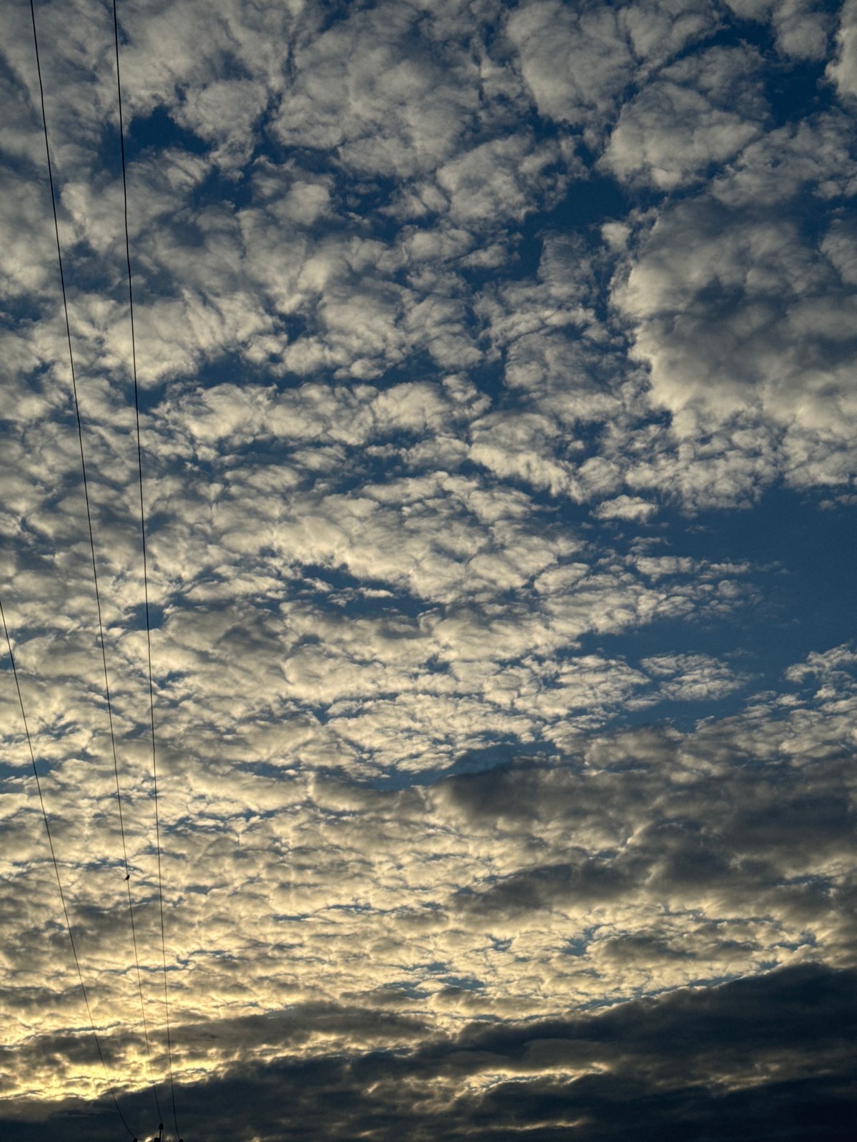 Summer evening in Chaikovsky: bonfires, portraits, and dramatic skies