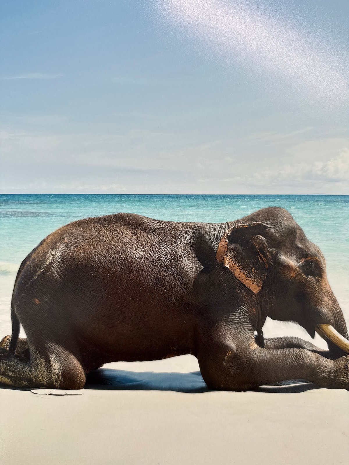 Morning documentation captures diverse scenes across Baan Harn, Thailand