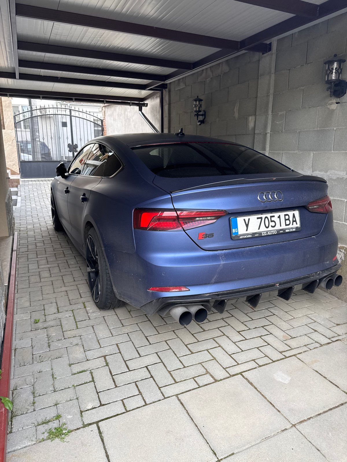 Domestic scene: Audi parked, dog playing in Yambol backyard