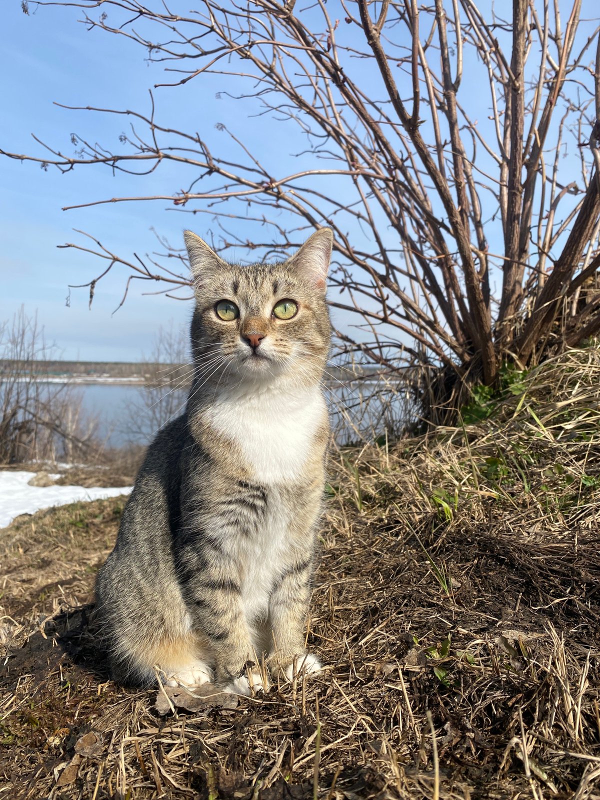 Morning portraits captured in Ольховка, Russia