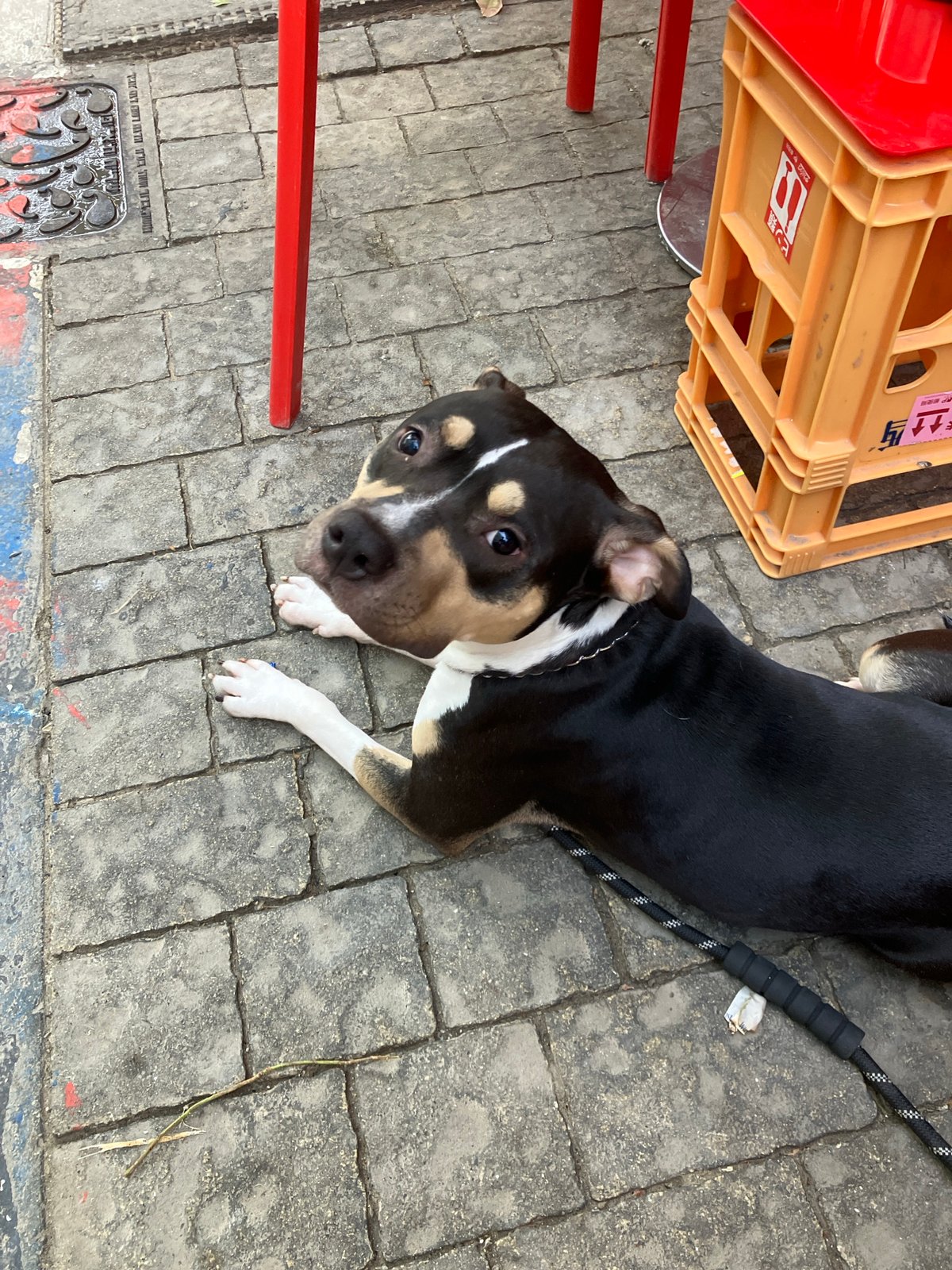 Casual Sunday afternoon moments documented across Tel Aviv streets