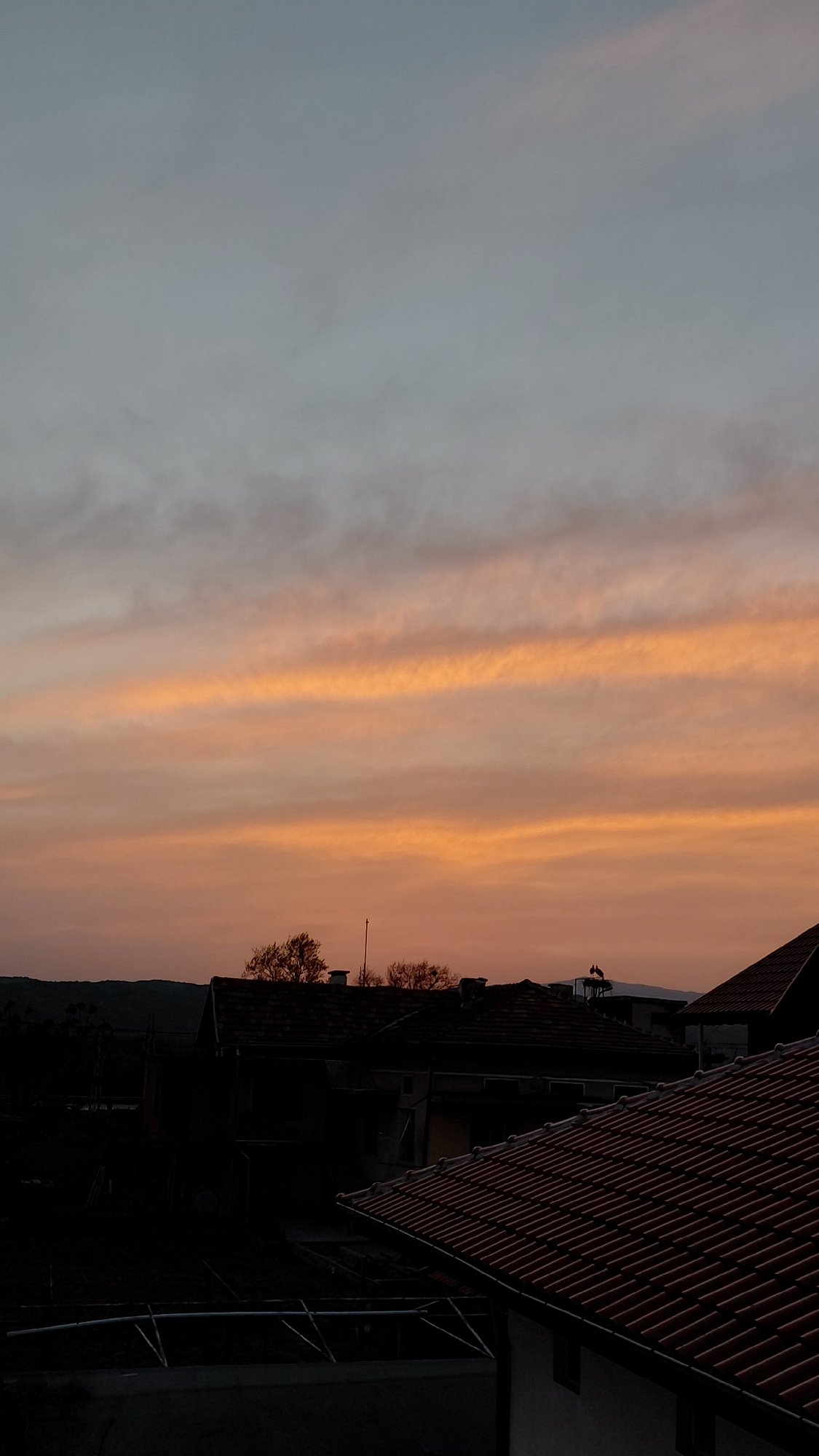Sunset and stork nest activity observed in urban area