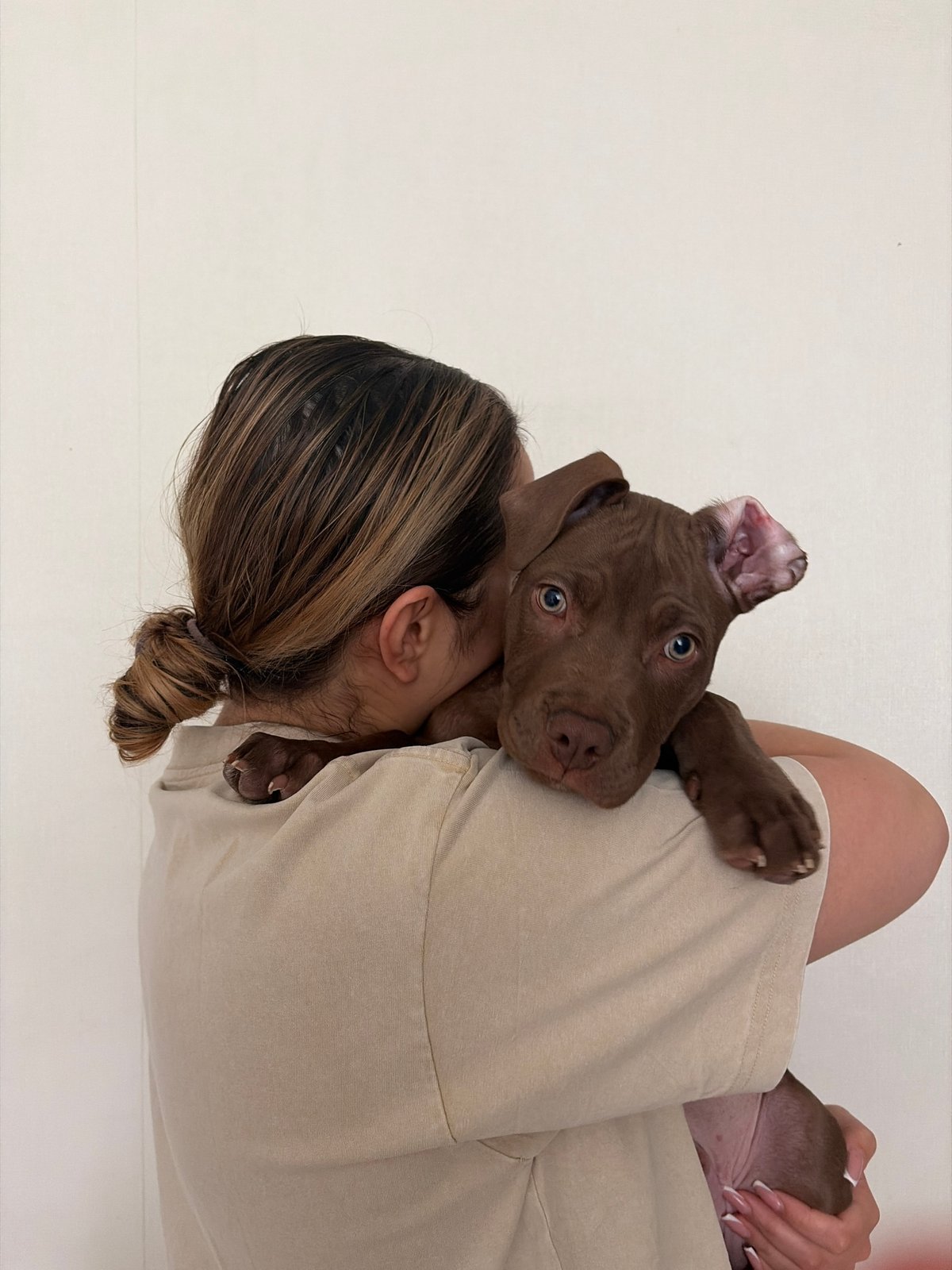 Pit Bull Puppy Playtime Documented in Chaikovsky Home
