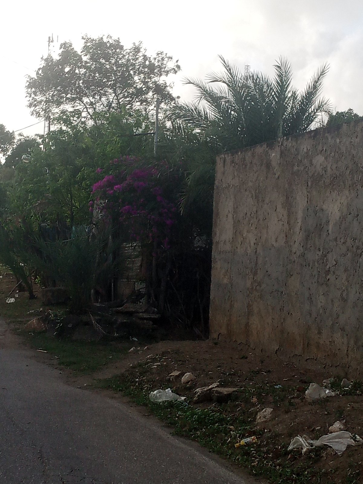 Street-level snapshots of daily life in La Tagua, Venezuela
