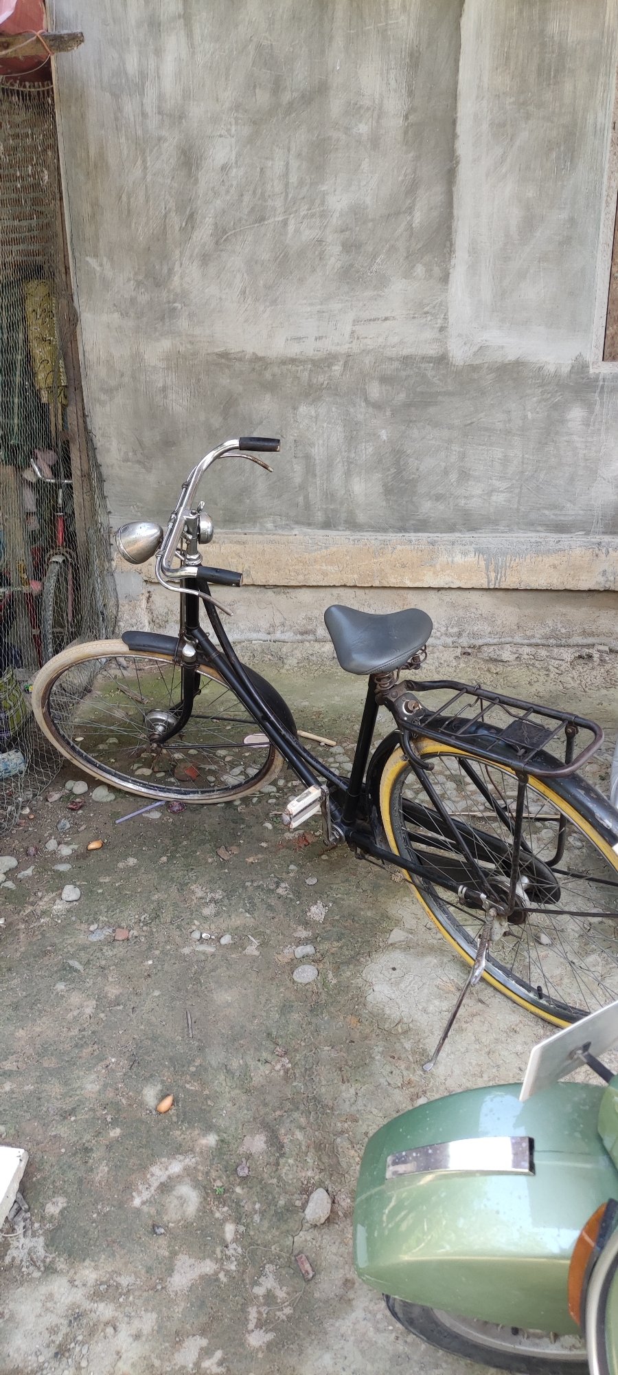 Backyard animals and an old bicycle in Payakumbuh