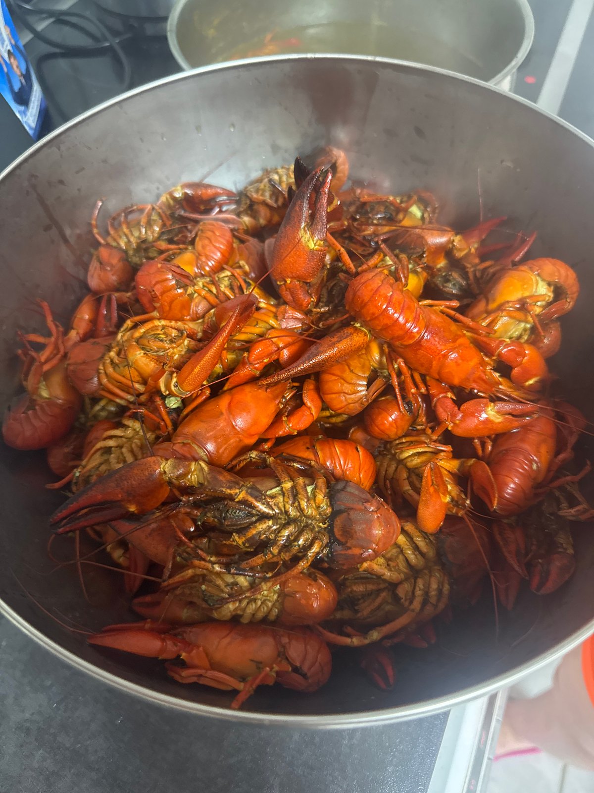Big pile of cooked crawfish in Düren, Germany