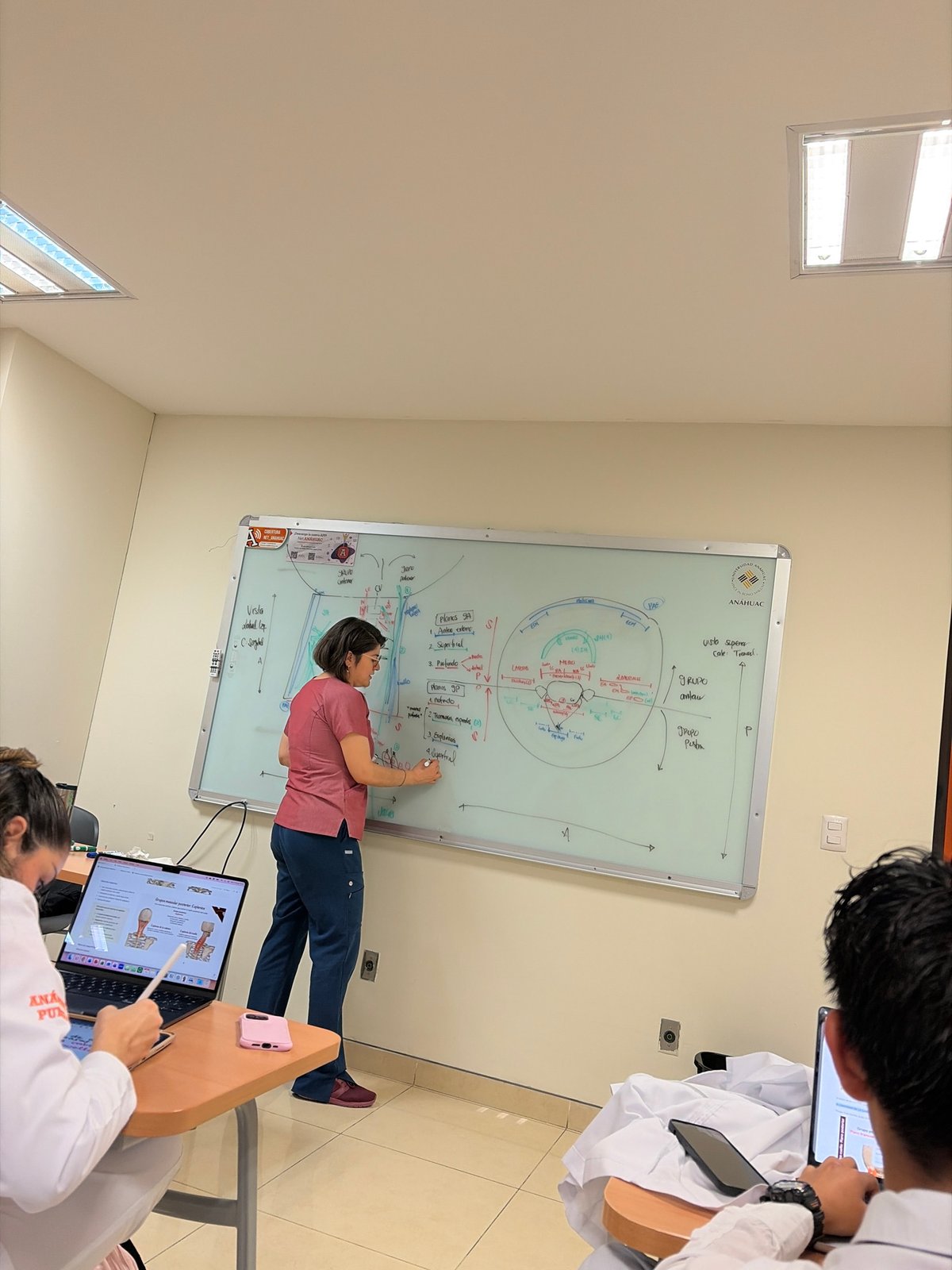 Anatomy lesson observed at Mexico university classroom
