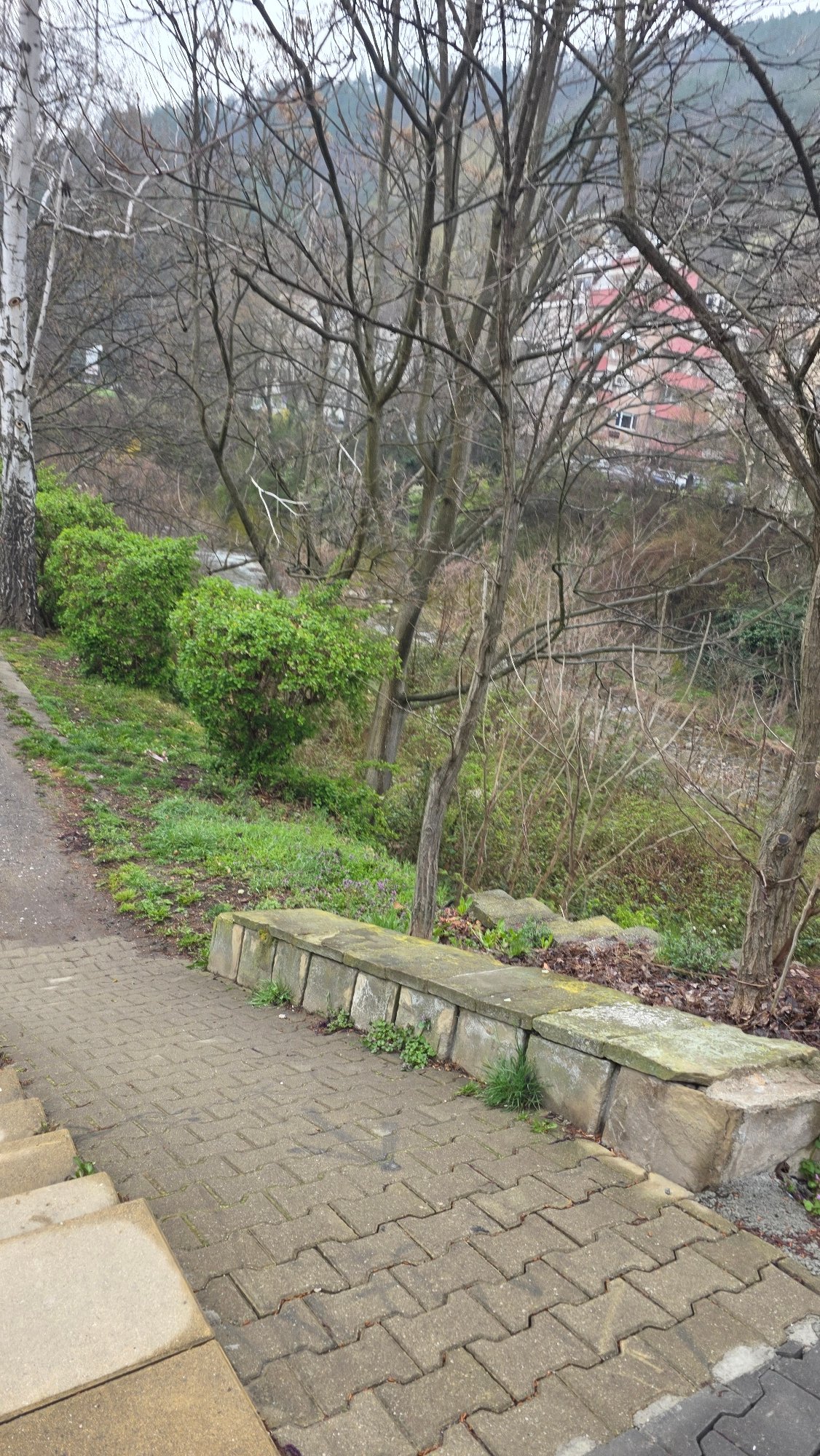 Early morning scenes documented across Blagoevgrad parks and streets