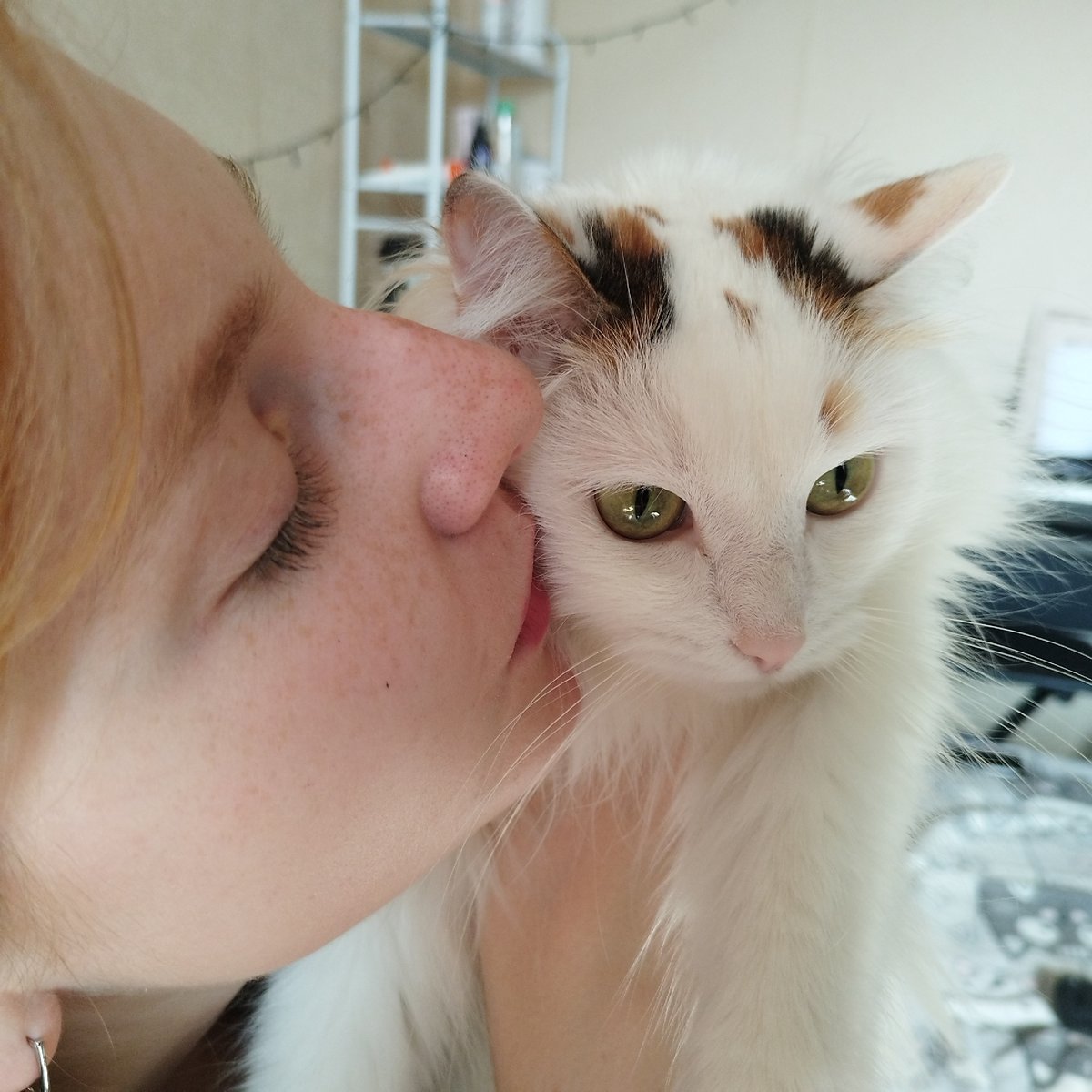 Intimate moments with pets and cryptic hashtag messages captured