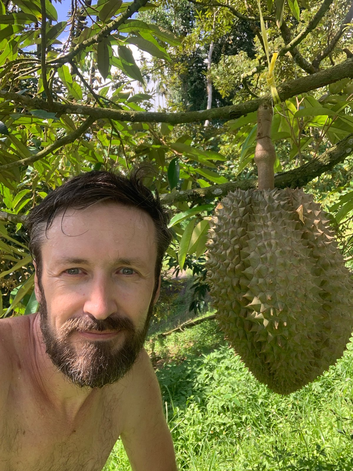 Exploring Ko Samui's tropical fruit sculptures and palms