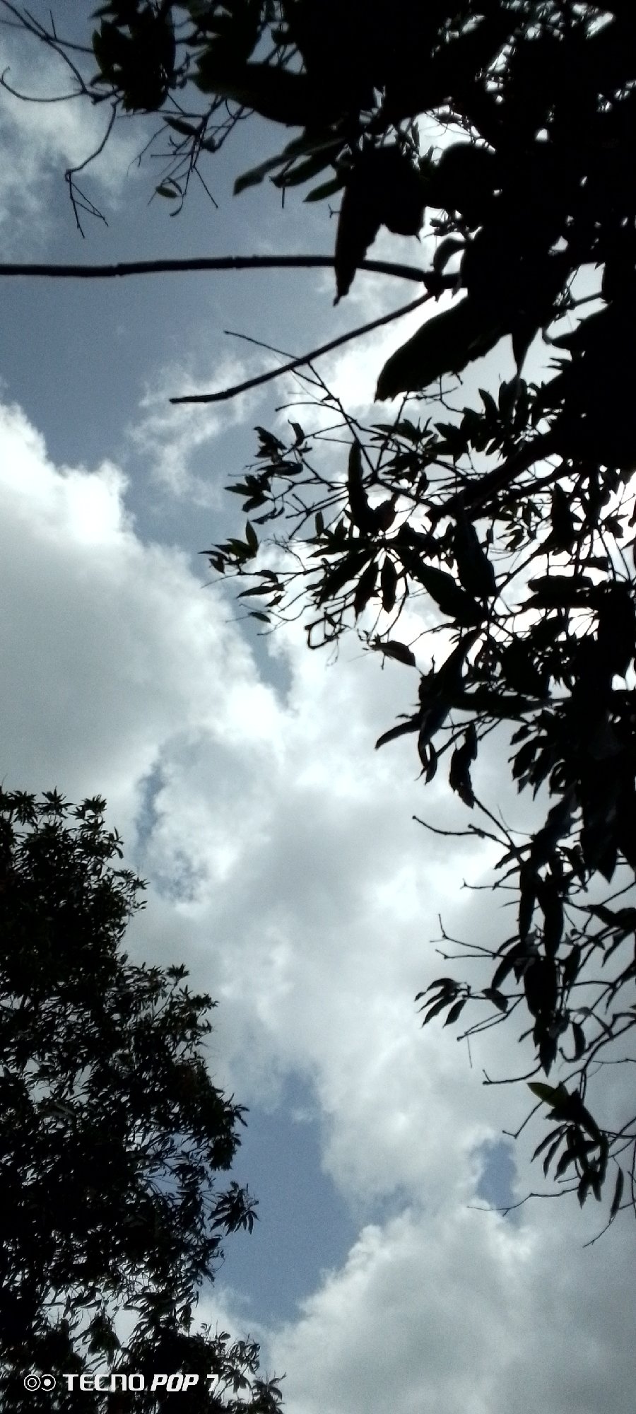 Venezuelan witness documents afternoon sky conditions in Altagracia