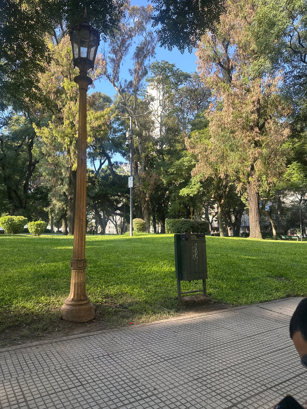 Man with phone, dog explore Buenos Aires park Saturday evening