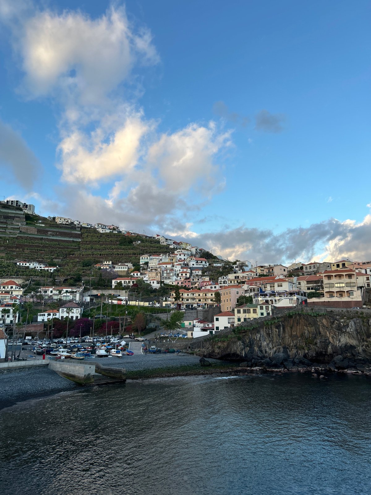 Evening documentation of flowers, coastline, and urban scenes in Câmara de Lobos