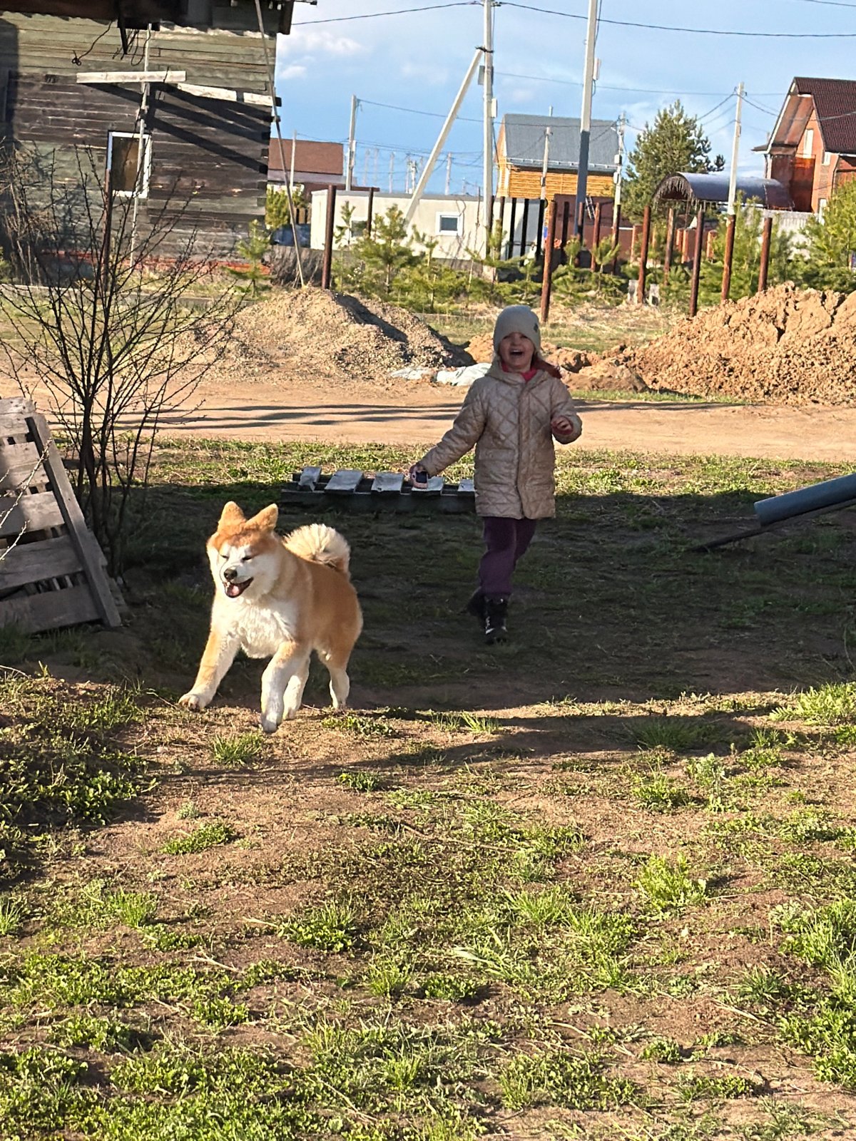 Domestic moments with pets captured in Chaikovsky, Russia