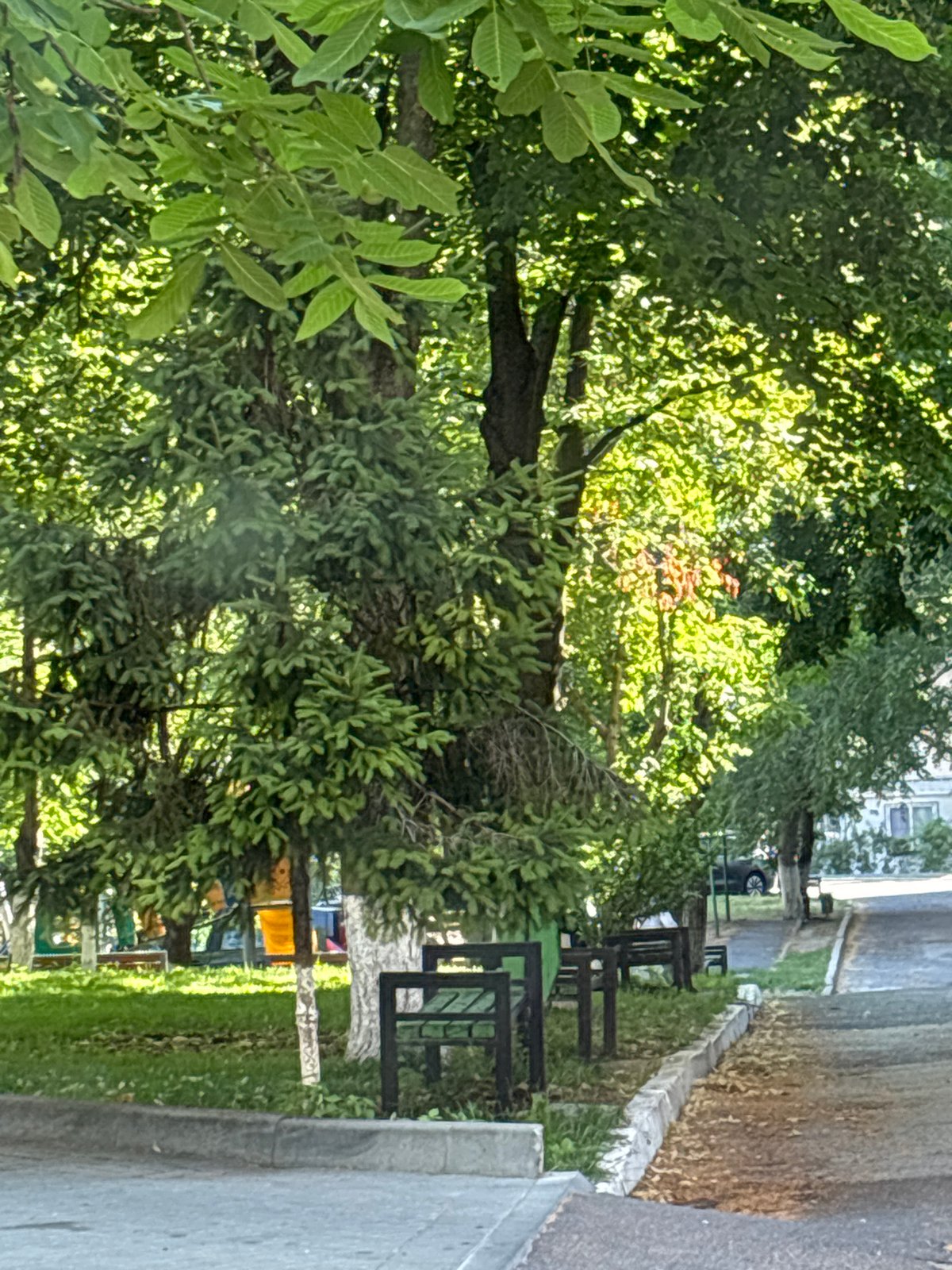 Morning drive through quiet Chișinău streets and parks