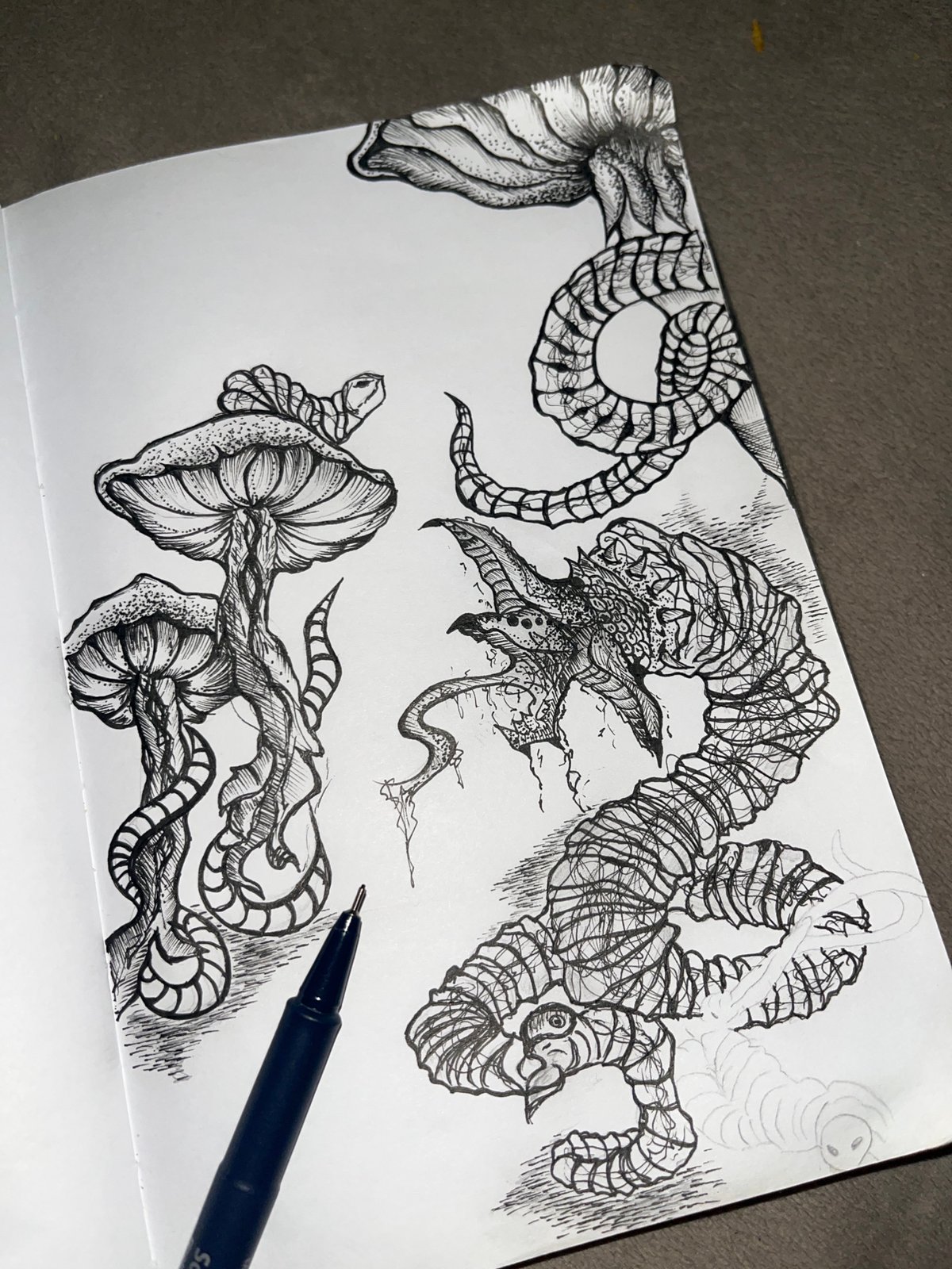 Artist's fantastical creature sketches documented in Sofia sketchbook