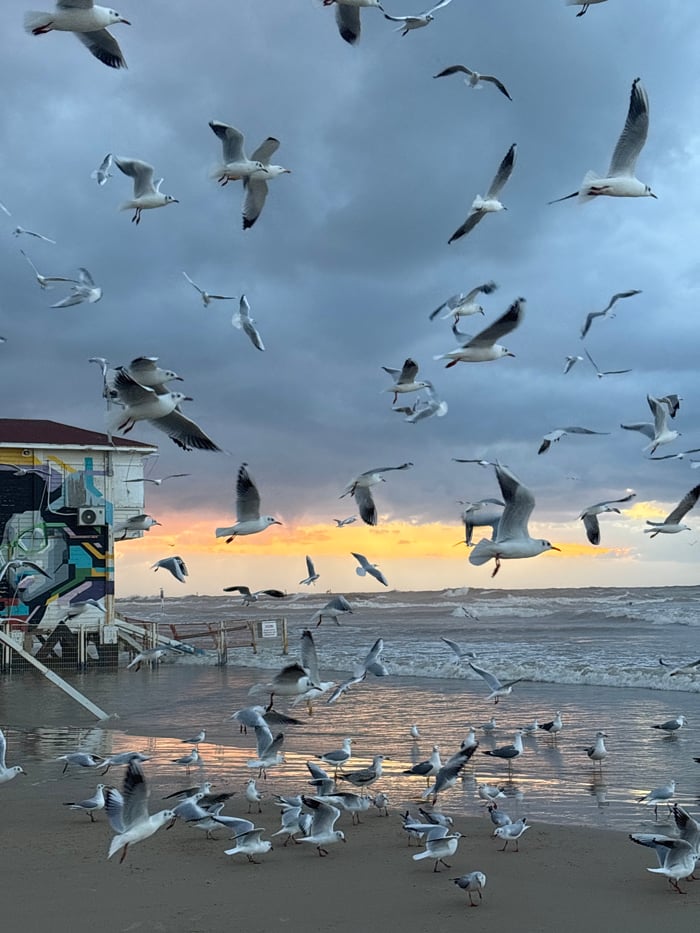 Evening beach life captured along Tel Aviv coastline