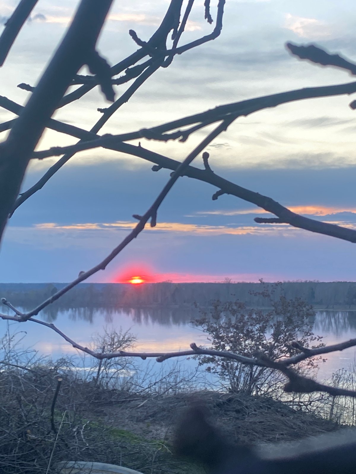 Sunset captured through bare branches near Ольховка, Russia