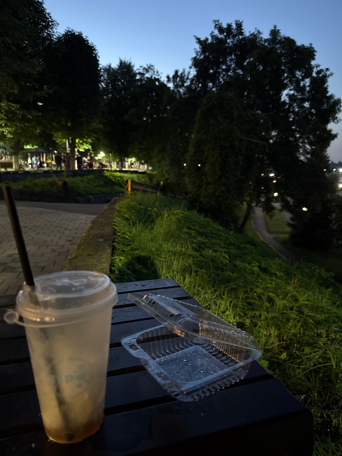 Evening wind-down at a Vladikavkaz park