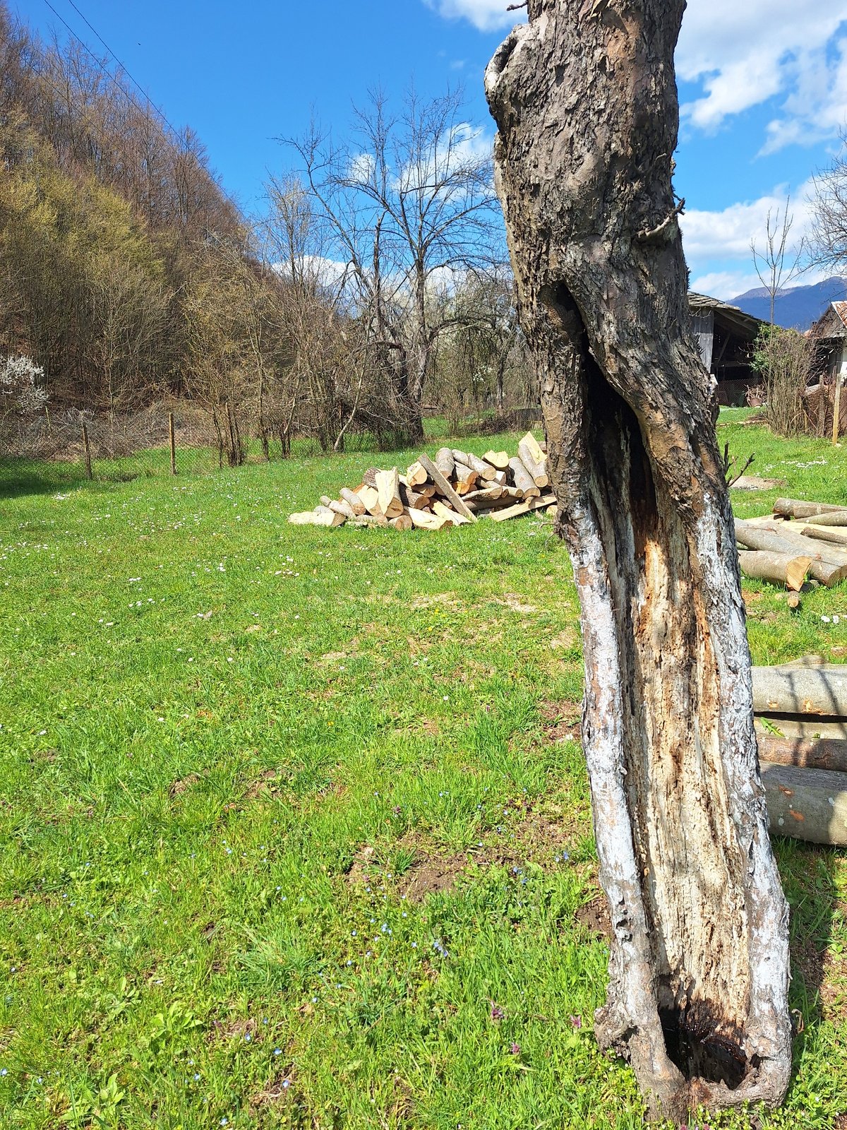 Spring documentation captures Apriltsi Bulgaria's seasonal transition landscapes