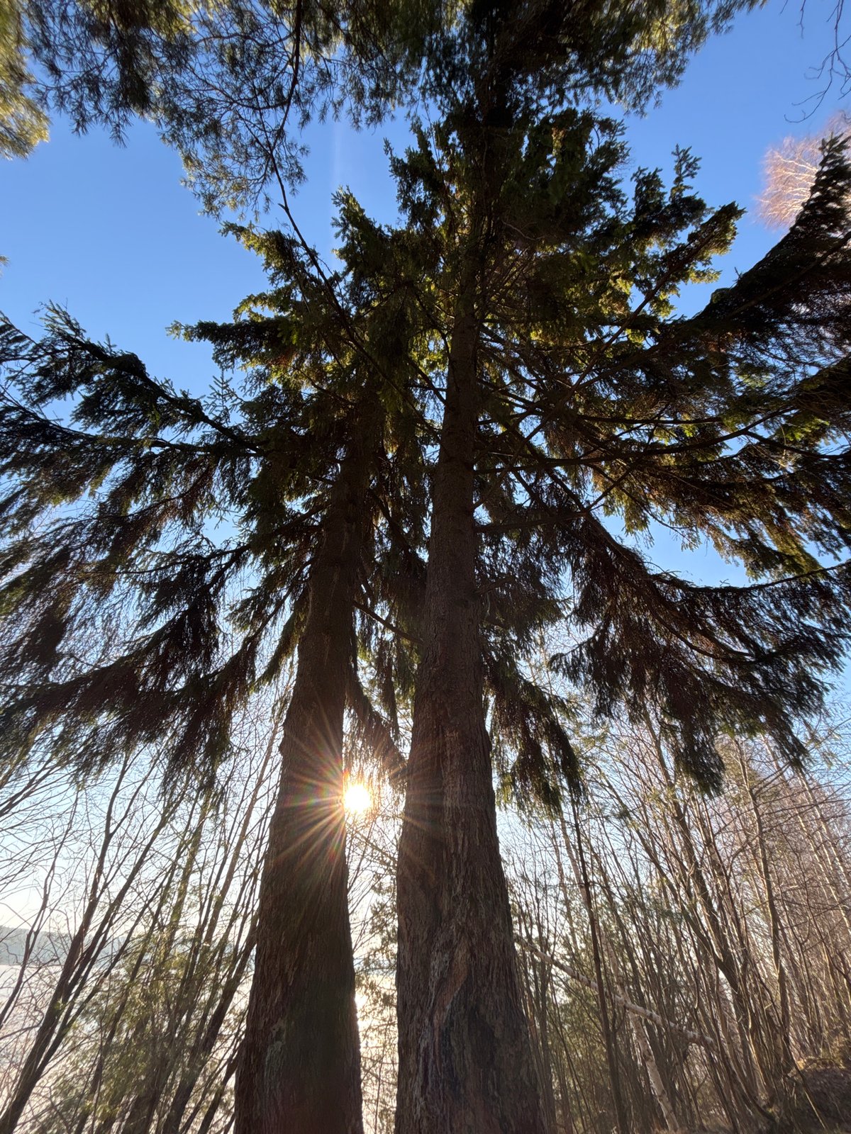Early morning documentation session captures Chaikovsky, Russia landscapes and portraits