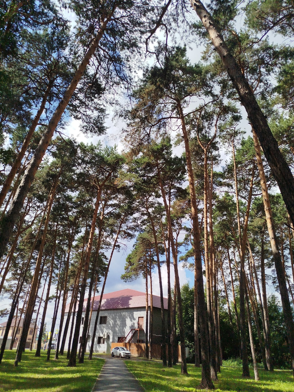 Summer morning in Zavodoukovsk: parks, streets, and a flower shop