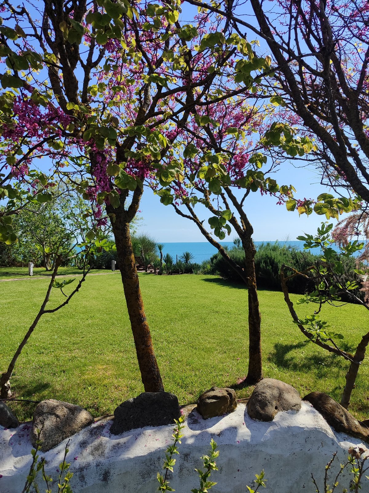 Morning coastal scenery documented in Lozenets, Bulgaria seaside gardens